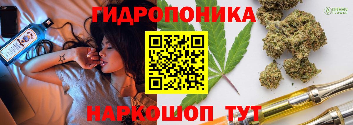 Шишки марихуана Bruce Banner Великий Новгород